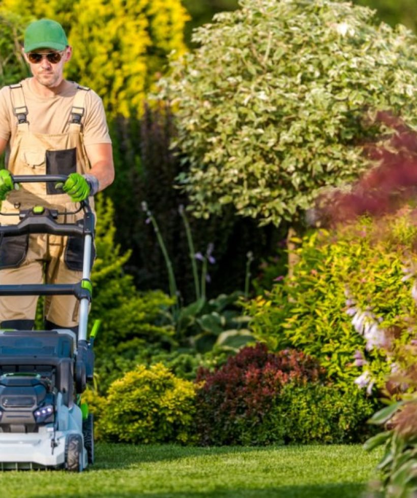 A man using a lawn mower to cut grass in a well-maintained yard on a sunny day.